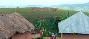 Bibogobogo: Responsabilité du nouveau drame ? Jacques Muhumuza