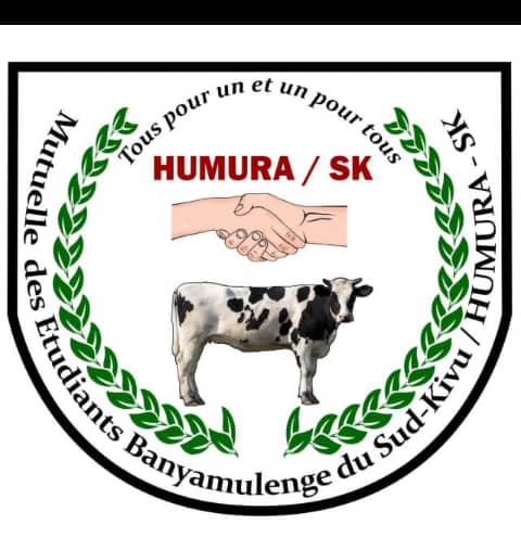 Appauvrissement & Incertitude autour des études Académiques/ Osee Kibonangoma